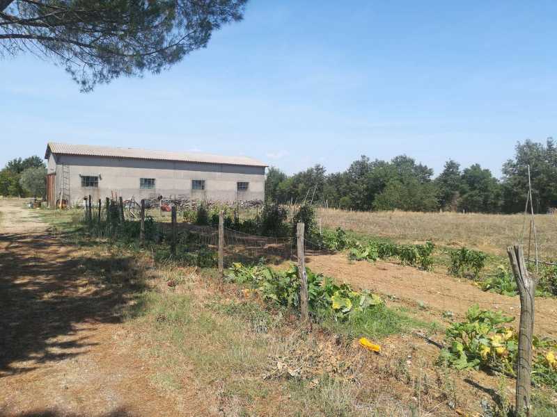 Azienda Agricola in Vendita ad Pitigliano - 285000 Euro
