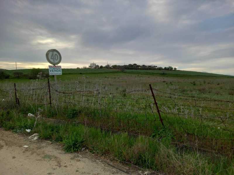 Terreno agricolo in Vendita ad Naro - 90000 Euro