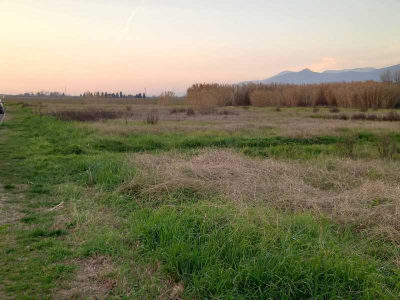 Terreno in Vendita ad Casciana Terme Lari - 202500 Euro