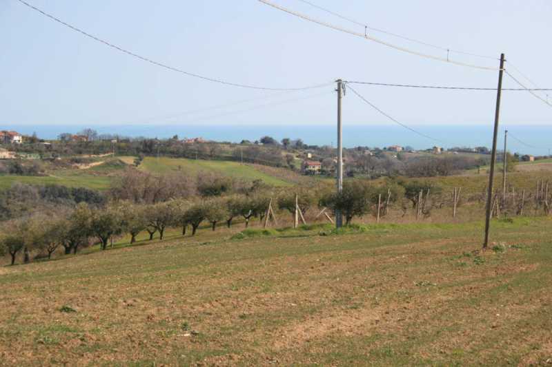 Terreno in Vendita ad Massignano - 45000 Euro