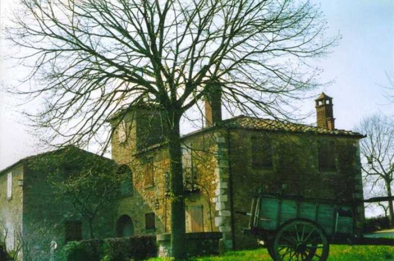 Rustico-Casale-Corte in Vendita ad Torrita di Siena