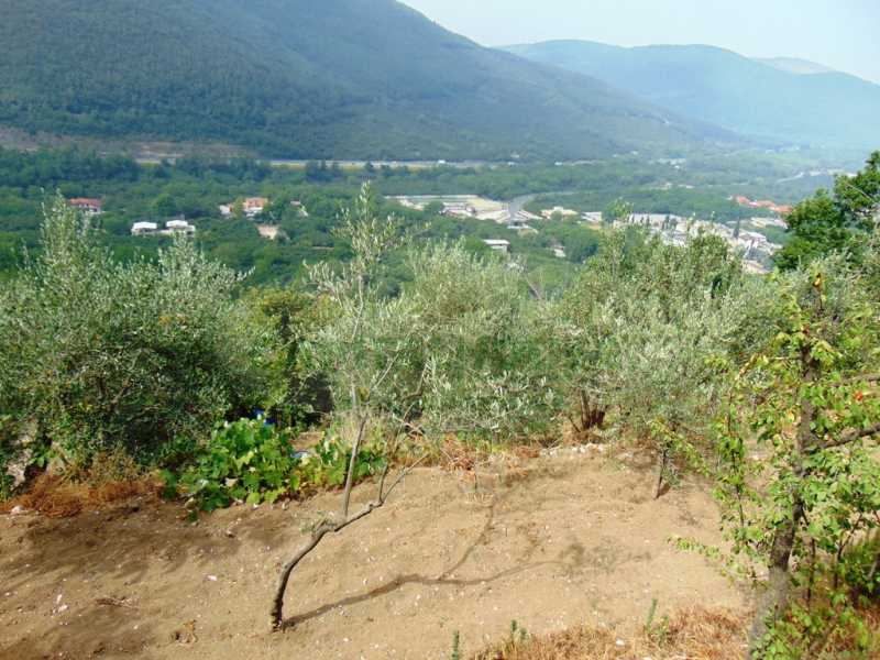 Terreno in Vendita ad Mugnano del Cardinale - 55000 Euro