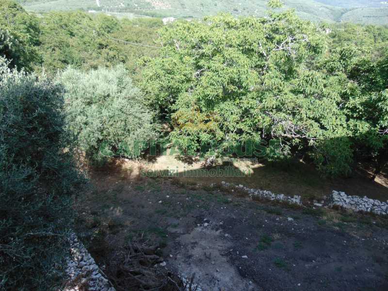 Terreno in Vendita ad Avella - 210000 Euro