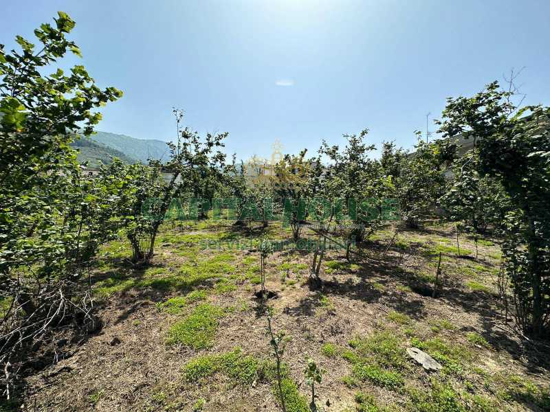 Terreno in Vendita ad Sirignano - 135000 Euro