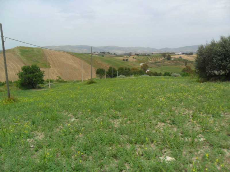 Terreno agricolo in Vendita ad San Cataldo - 30000 Euro