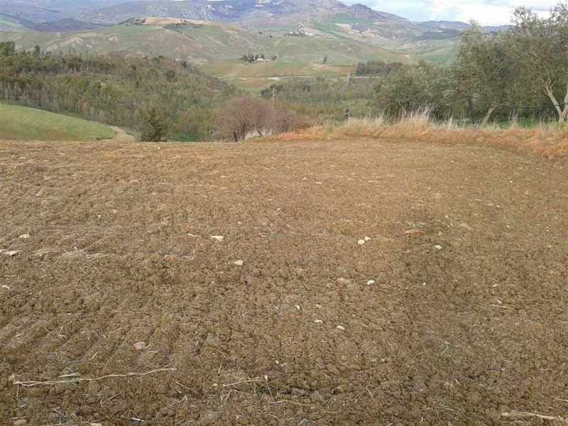 Terreno agricolo in Vendita ad San Cataldo - 125000 Euro