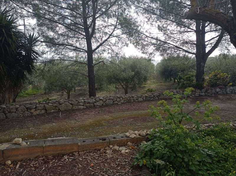 Terreno agricolo in Vendita ad Caltanissetta - 25000 Euro