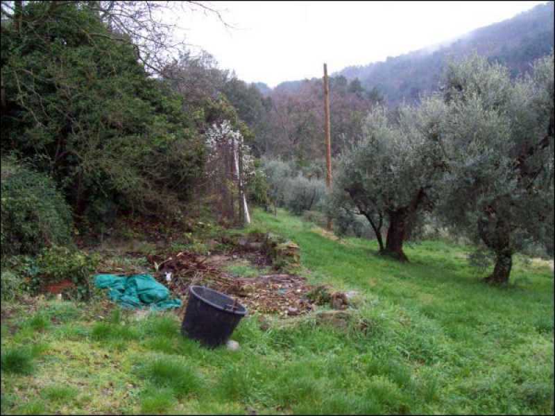 Agriturismo in Vendita ad Monsummano Terme