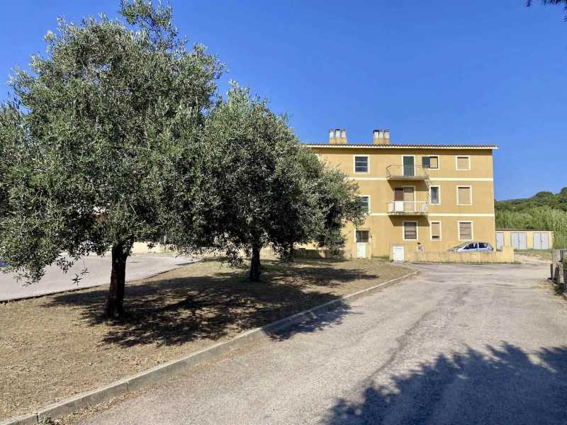 Appartamento in Vendita ad Monti - 65000 Euro