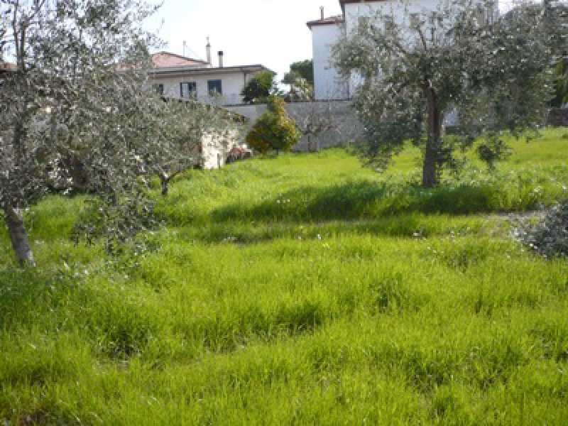 terreno in vendita ad alba adriatica zona basciani foto2-125941141