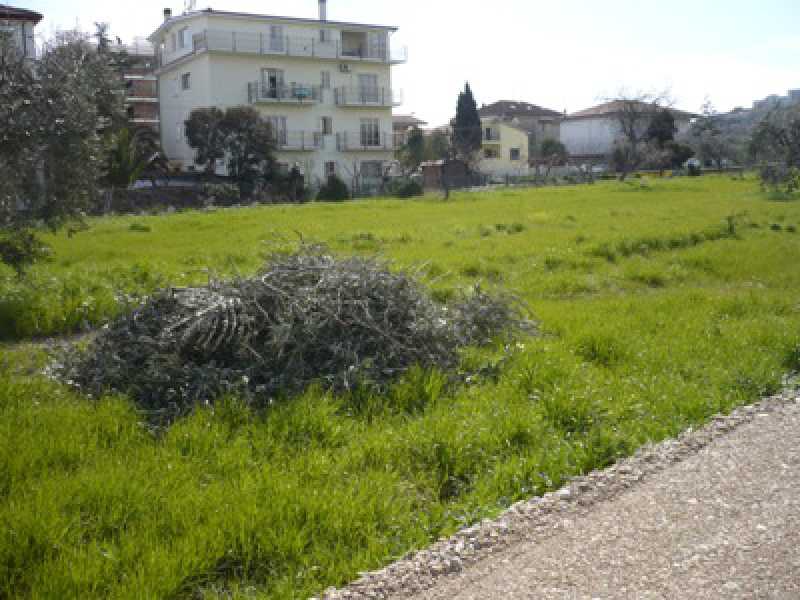 terreno in vendita ad alba adriatica zona basciani foto3-125941141