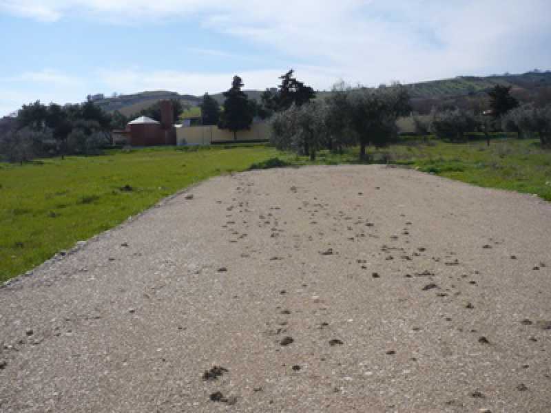 terreno in vendita ad alba adriatica zona basciani foto4-125941141