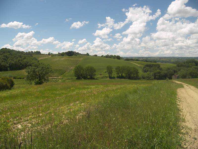 terreno agricolo in vendita a baschi