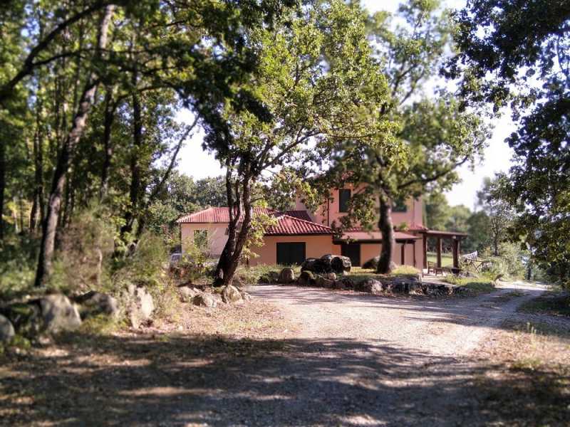 villa singola in vendita a roccastrada pagiano