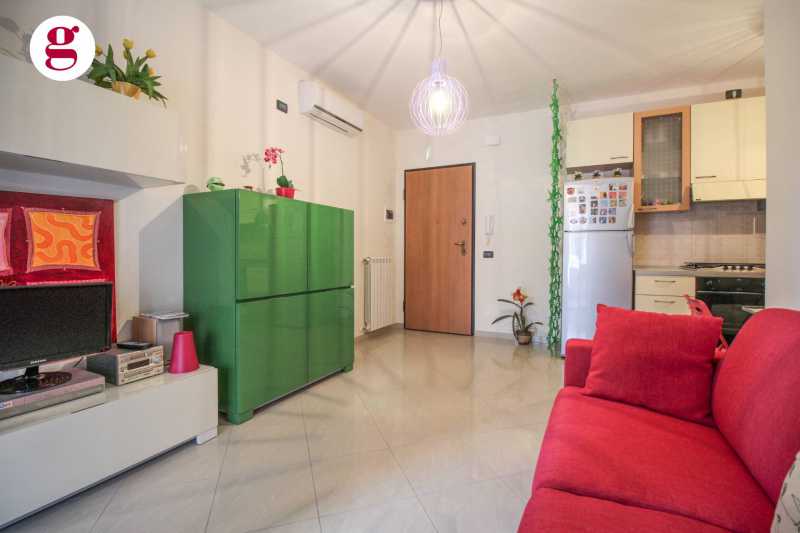 appartamento in affitto a vasto via anna magnani foto3-151792442