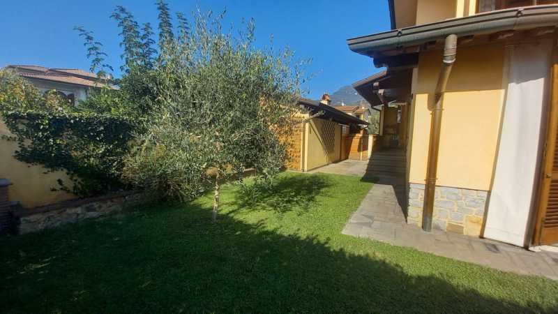 villa bifamiliare in vendita a camaiore capezzano pianore foto2-151989243