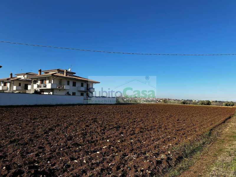 terreno in vendita a rosciano villa oliveti foto3-152175092