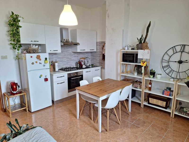 appartamento in affitto a bologna via zanardi foto3-152815498