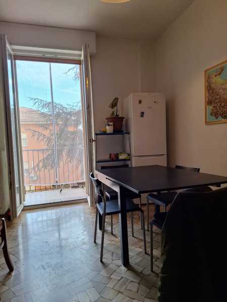 appartamento in affitto a bologna via andrea costa foto2-152862451
