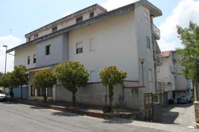 Appartamento in Vendita a Santa Maria del Cedro Contrada s Bartolo 10 Pastina