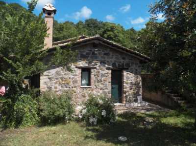 Villa in Affitto a Bracciano via Dell