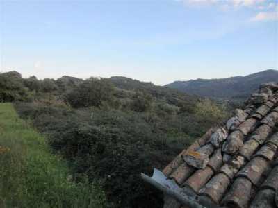 Terreno agricolo in Vendita a Castiglione di Sicilia