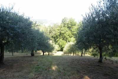Terreno agricolo in Vendita a San Severino Marche serrone