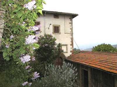 Rustico Casale in Vendita a Pratovecchio e Stia via Vigna