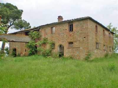 Azienda Agricola in Vendita a Monte San Savino