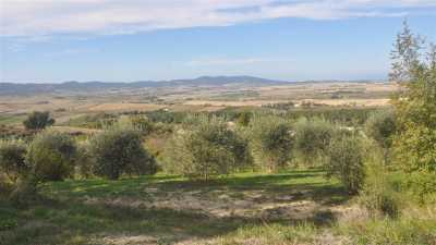 Terreno Agricolo in Vendita a Castellina Marittima