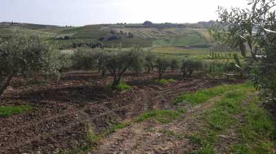 Agriturismo in Vendita a Campobello di Licata