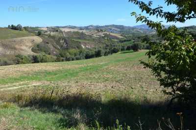 Azienda Agricola in Vendita a Castignano Contrada Ribbio Collinare