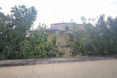 Villa in Vendita ad Argenta via Ruviole 3 San Biagio
