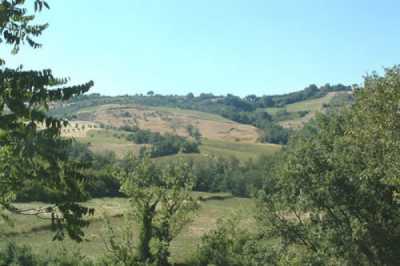 Terreno in Vendita a Monte Castello di Vibio via Dei Frattoli