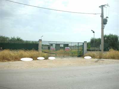 Terreno Edificabile in Affitto a Canosa di Puglia