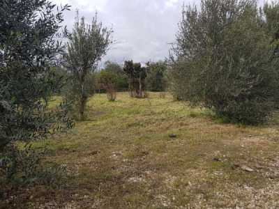 Terreno in Vendita a Melilli via San Giuliano Villasmundo