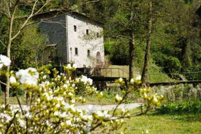 Rustico Casale in Vendita a Borgo San Lorenzo via Campagna Ronta 52