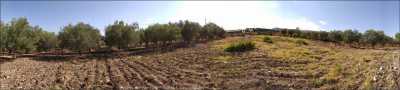 Terreno Industriale in Vendita a Canicatt Zona Uscita Agrigento