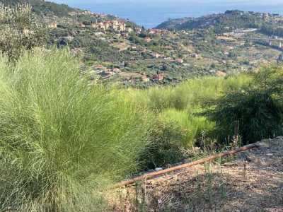 Terreno Edificabile in Vendita a Vallebona