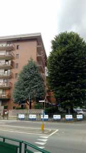 Appartamento in Affitto a Grugliasco