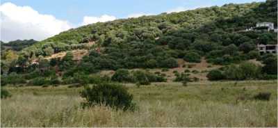 Terreno in Vendita ad Alghero