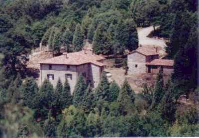 Terreno in Vendita a Piegaro Vocabolo Castello Greppolischieto