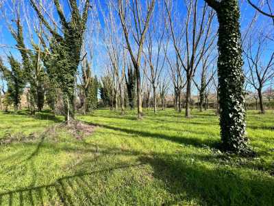 Terreno in Vendita ad Albano Laziale via Tenutella
