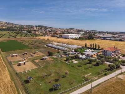 Azienda Agricola in Vendita a Roseto Degli Abruzzi via Argentina