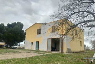 Rustico Casale in Vendita a Tuscania Strada Montaltese n 14