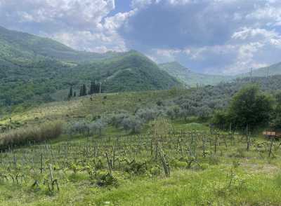 Terreno Agricolo in Vendita a Greve in Chianti San Polo in Chianti