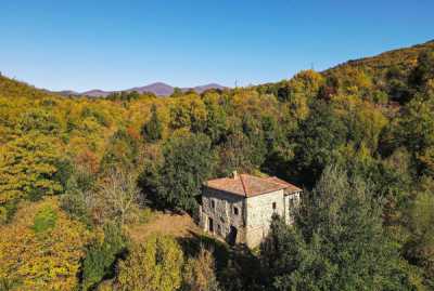Villa in Vendita a Santa Fiora via Delle Vigne