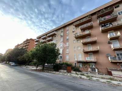Appartamento in Vendita a Palermo via del Levriere 97