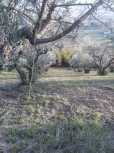 Terreno in Vendita a Spoleto Loc Pontebari