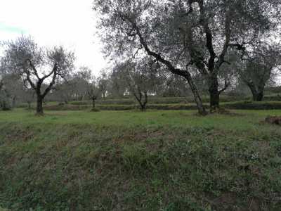 Terreno in Vendita a Casciana Terme Lari Orceto
